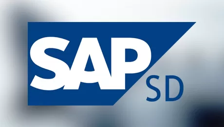 SAP SD & S/4 HANA Certification Course